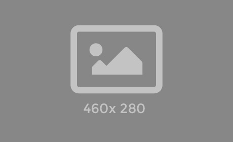 460x280