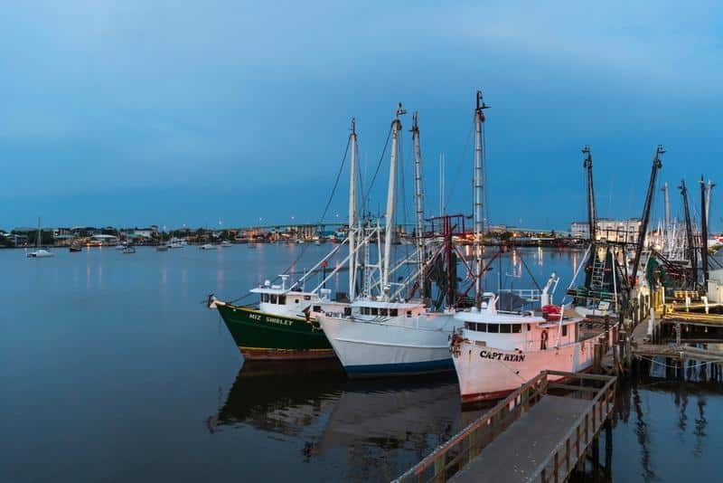 Ultimate Guide to Fishing in Fort Myers Beach
