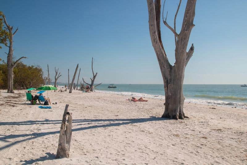 Spring in Fort Myers Beach: What to Expect