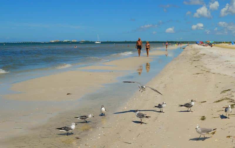 Fall in Fort Myers Beach: What to Expect